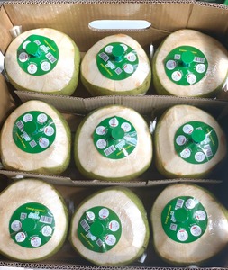 True Fruits_Coconut: Vietnam Green Press Kokosnüsse mit Druckknopf und Plastiks troh trink fertig