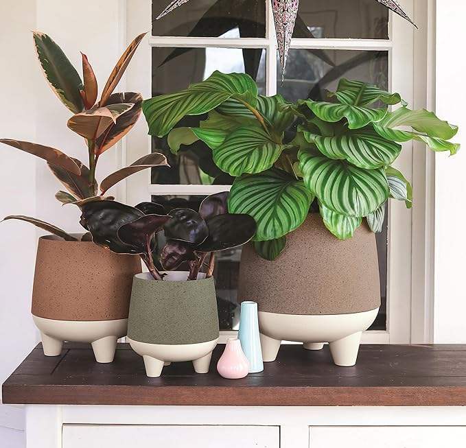 สีเทา, สีส้ม, สีเขียว