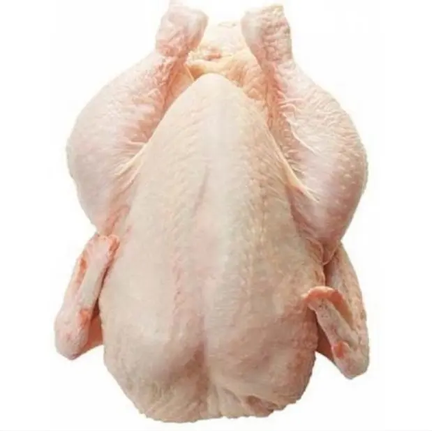 Atacado Halal Frozen Whole Chicken