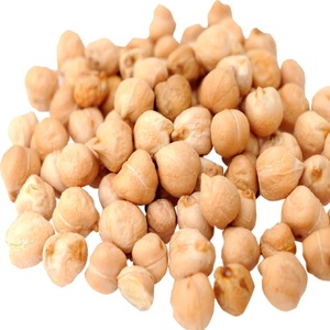 Kurutulmuş ham nohut 7mm 8mm 9mm 10mm 11mm 12mm <span class=keywords><strong>Kabuli</strong></span> nohut satılık