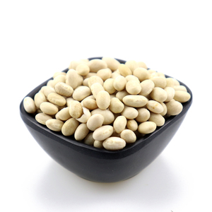 批发白豌豆白芸豆批发海军罐装长型干豆新收获作物