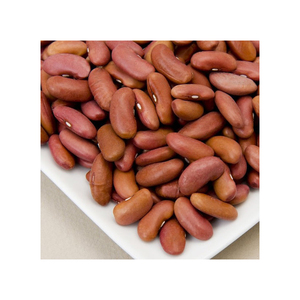 Yüksek kalite kırmızı barbunya taze yuvarlak tarzı ihracat fiyat sıcak satış kurutulmuş toplu gıda kullanımı için doğal kurutma işlemi ile paketlenmiş - Product Image 3