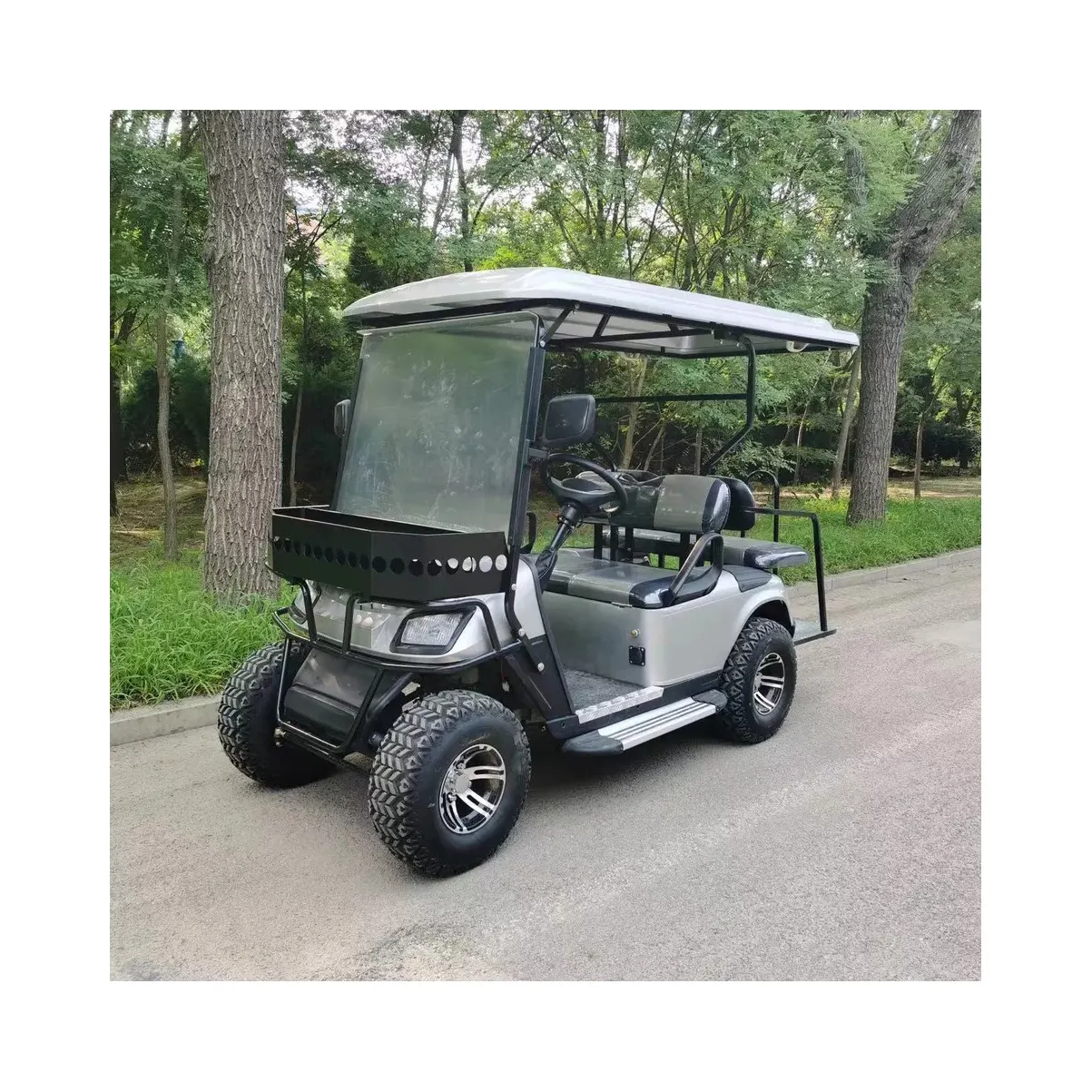 Carrito de golf eléctrico de 2 asientos, 4 asientos, 6 pasajeros, precio barato, buggy, coches de club, carros de golf eléctricos