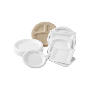 インドの輸出卸売小売価格のための3 <span class=keywords><strong>CP</strong></span>の最高品質の10インチラウンド使い捨てプレートバガス