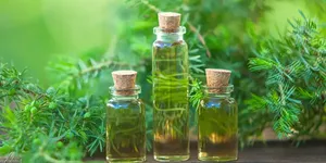 Pure Tea Tree Essential <strong>Oil</strong> for Skin Care and Wellness - 100% Natural Formulation for Export Selling at Economical Price - Product Image 3