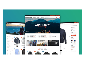 Top Design e sviluppo di siti di e-commerce | B2B e-commerce website design | Miglior prezzo e-commerce sito di e-commerce - Product Image 3