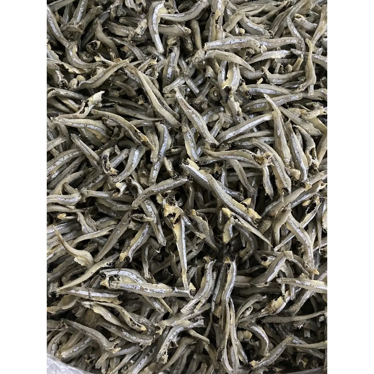 Production professionnelle de corps entier en vrac Vietnam poisson d'anchois séché exportateur usine petit poisson séché avec 24 mois de durée de conservation