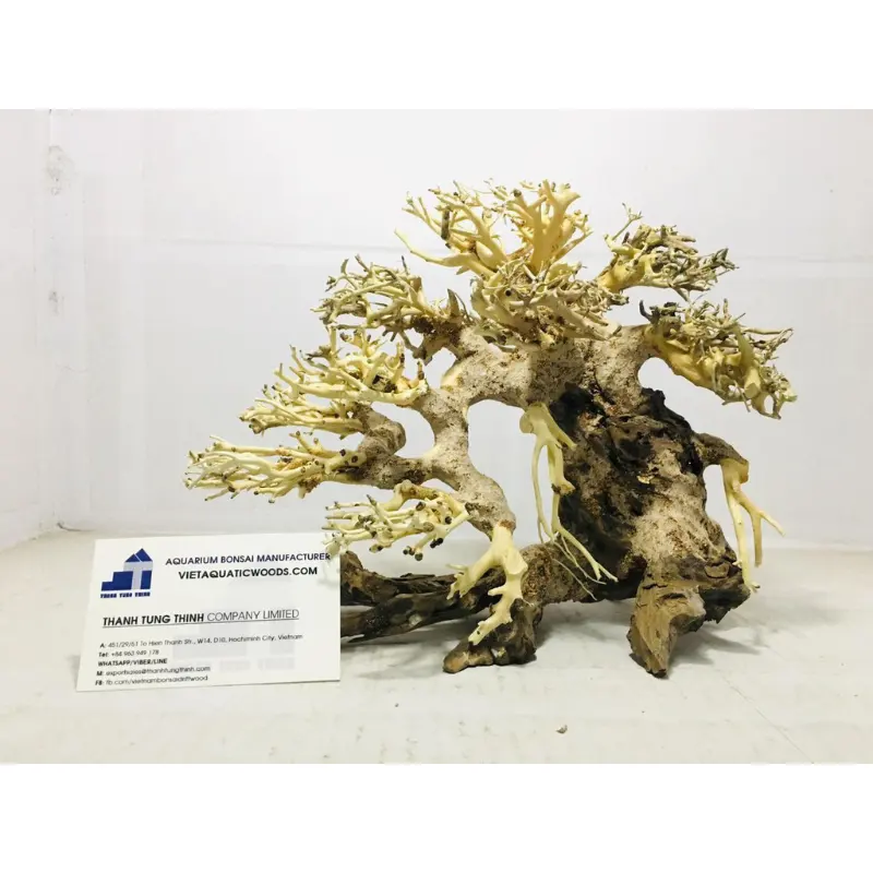 Più venduto 2023 Bonsai Driftwood acquario decorazione per il commercio all'ingrosso WhatsApp: + 84 961005832