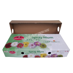 Carton Packing Fresh mango for Export Premium Luxury Cardboard <strong>Box</strong> Made in Vietnam Reasonable Price - Product Image 1