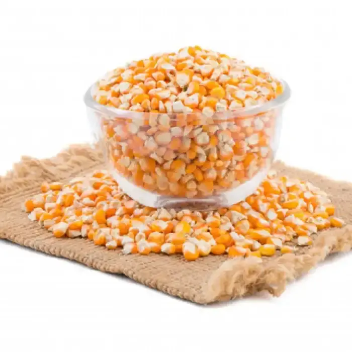 Maïs jaune/maïs blanc/maïs à vendre Grain de blé de qualité 1 jaune pour l'alimentation animale Grade AA