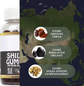Bluebarry ha aromatizzato la memoria del cervello di energia supporto Gummies Vegan Ayurveda naturalmente umico acido fulvico traccia minerali Shilajit - Product Image 2