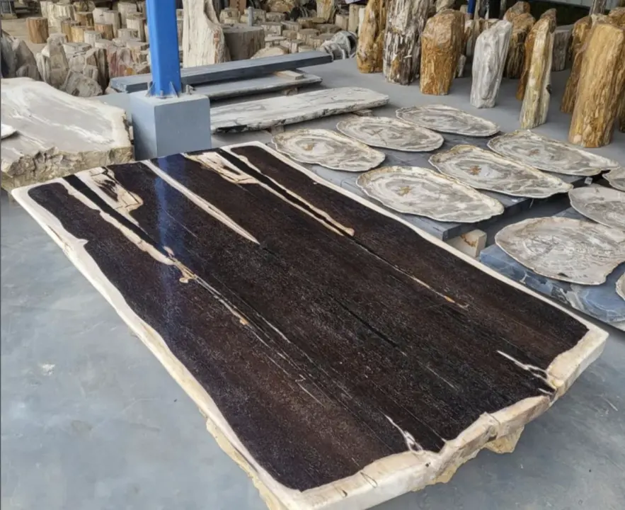 Gemi hazır taşlaşmış ağaç fosil taş sehpa bali tik ağacı mobilya