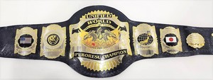 איכות גבוהה התאמה אישית <span class=keywords><strong>ufc</strong></span> אליפות חגורת היאבקות פלדה באיכות גבוהה עבור חדר כושר ו oem/odm ייצור