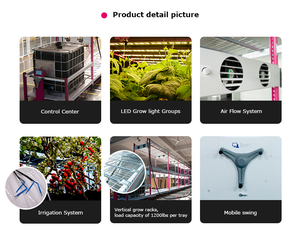 Automatically Irrigation Dripping Grow System Vertical Grow Rack with <strong>LED</strong> Lights Ventilation Kits