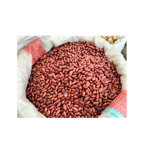 High Grade Red Beans Cleaned and Sorted for Food Use - Product Image 2