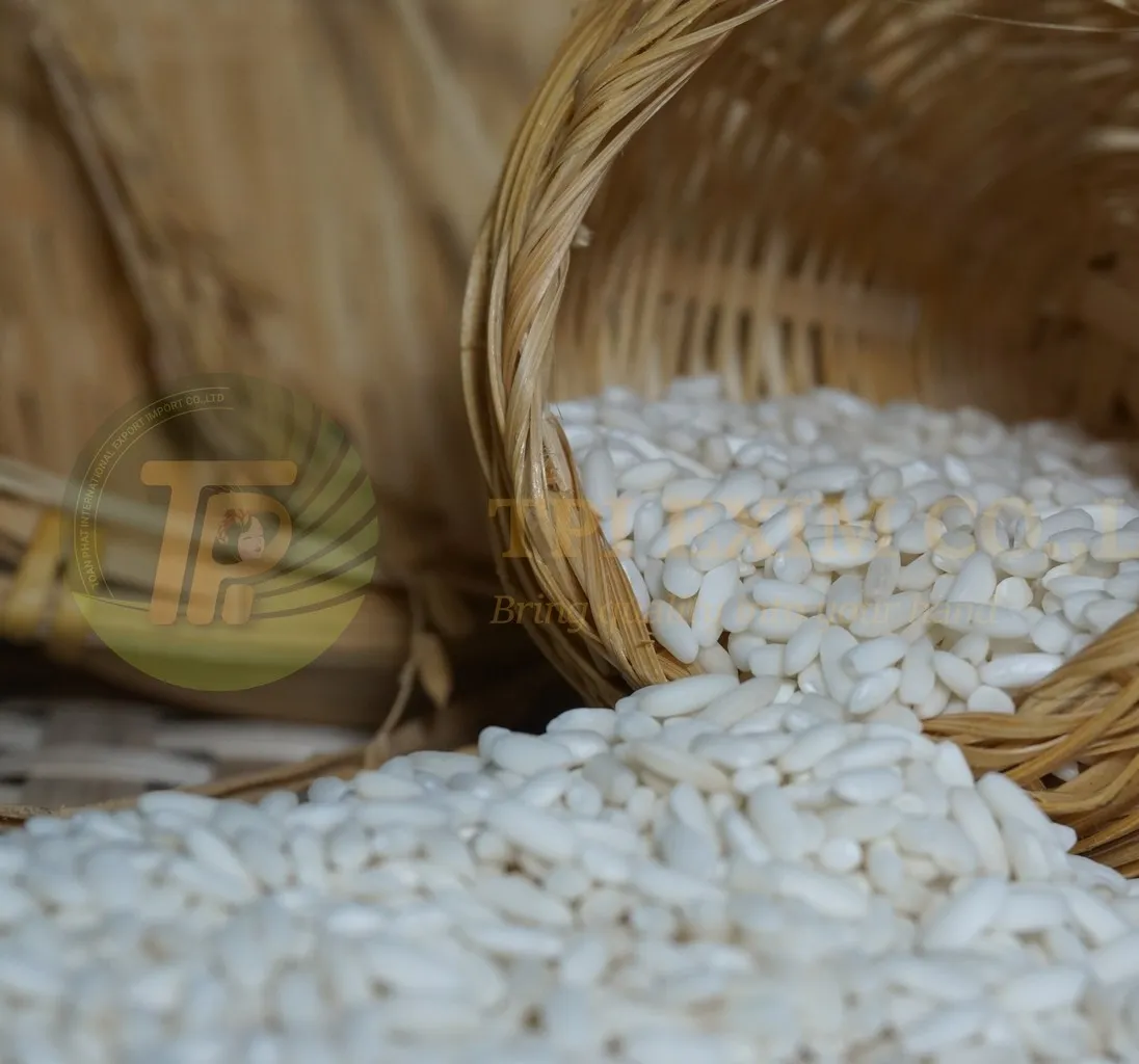 Exportação Rápida Arroz Pegajoso Arroz Glutinoso Melhor Qualidade Cru Seco Usando Para Alimentos Embalagem Personalizada Vietnam Fabricante