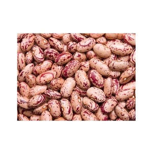 优质干斑豆浅斑点芸豆白豆和黑豆，供食品使用，价格低廉