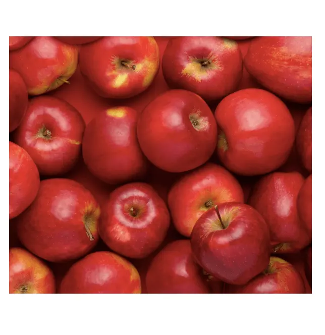 En iyi kalite düşük fiyat toplu stok mevcut olmayan gdo taze sezon meyve ihracat için tüm tip taze elma dünya çapında