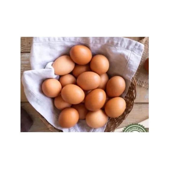 Fresh Chicken Eggs / Round Table Eggs for Sale / fertile hatching eggs