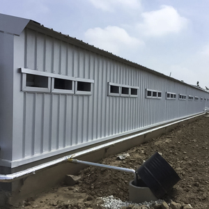 Fast Assemble Prefabricated Steel Structure Building Prefab Poultry Farm Control Shed Steel Structure Chicken Poultry <strong>House</strong> - Product Image 6