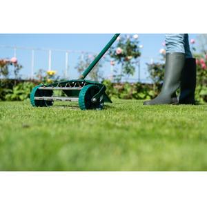 Premium Festuca Rubra Rubra rayap merah biji <span class=keywords><strong>Fescue</strong></span> tumbuh cepat membentuk pasti garam (hedrun DLF) - Product Image 1