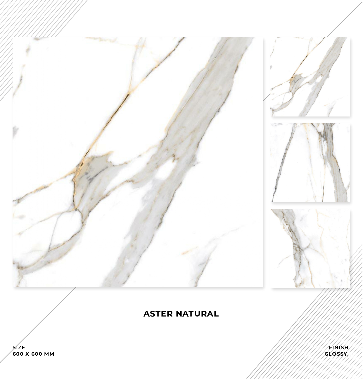 Aster Natural