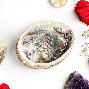 Hindistan'dan toptan ve doğrudan fabrika fiyatında takı yapımı için Abalone kabukları salyangoz kabuğu karıştırın - Product Image 1