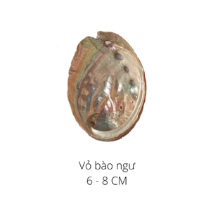 NATURAL LARGE SIZE POLISHED ABALONE <strong>SHELL</strong> CHARMING and ATTRACTIVE BLUE ABALONE SEASHELL WHOLESALE BEST PRICE ABALONE - Product Image 3