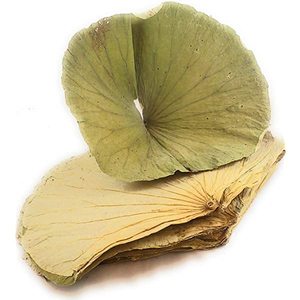 DRIED <strong>LOTUS</strong> <strong>LEAVES</strong> DRY <strong>LOTUS</strong> <strong>LEAF</strong> 100% NATURAL FROM VIET NAM WITH BEST QUALITY BEST PRICE for WHOLESALES - Product Image 1