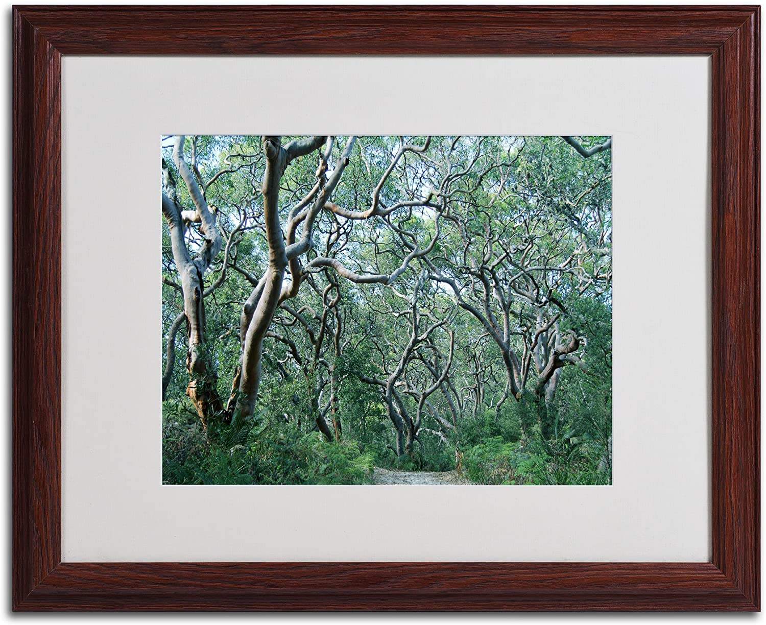 สีน้ำตาล