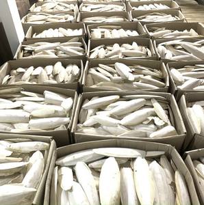 Harga terbaik Lotus Biru 2025 potongan tulang ikan kalsium alami sumber untuk burung burung beo kesehatan hewan peliharaan paruh kuat dan Perawatan tulang - Product Image 5