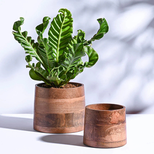 Top Selling Round Shaped Wooden <strong>Planter</strong> for Plants Made of Natural Wood Like Acacia or Mango for Gardening Flower Pot for Plants - Product Image 3