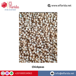 En çok satan Premium kalite düşük fiyat Premium sınıf tek baharatlar sağlıklı kurutulmuş sarı <span class=keywords><strong>Kabuli</strong></span> Chickpeas satılık