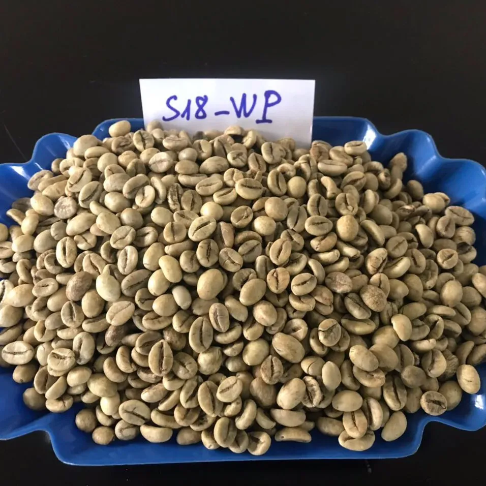 Granos de café ROBUSTA, suministros de café prémium, granos de café verde Arábica, venta al por mayor de Vietnam, proveedor