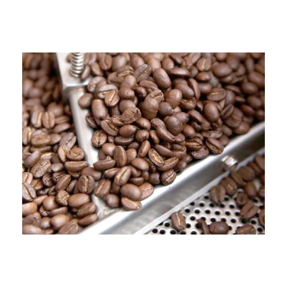 ROBUSTA kahve/ARABICA kahve çekirdekleri/satılık yeşil kahve çekirdeği