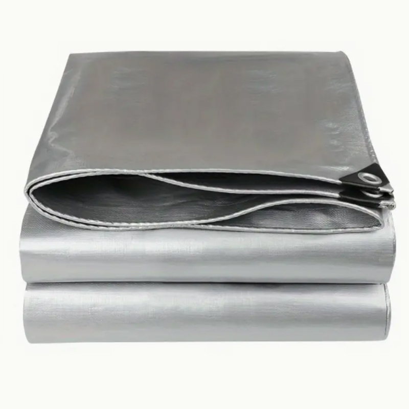 Plata de doble cara