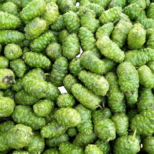 FRESH NONI CHEAPEST BEST CHOICE BEST PRICE FROM VIETNAM for SALE THIS MONTH GOOD SERVICE 2023 - Product Image 2