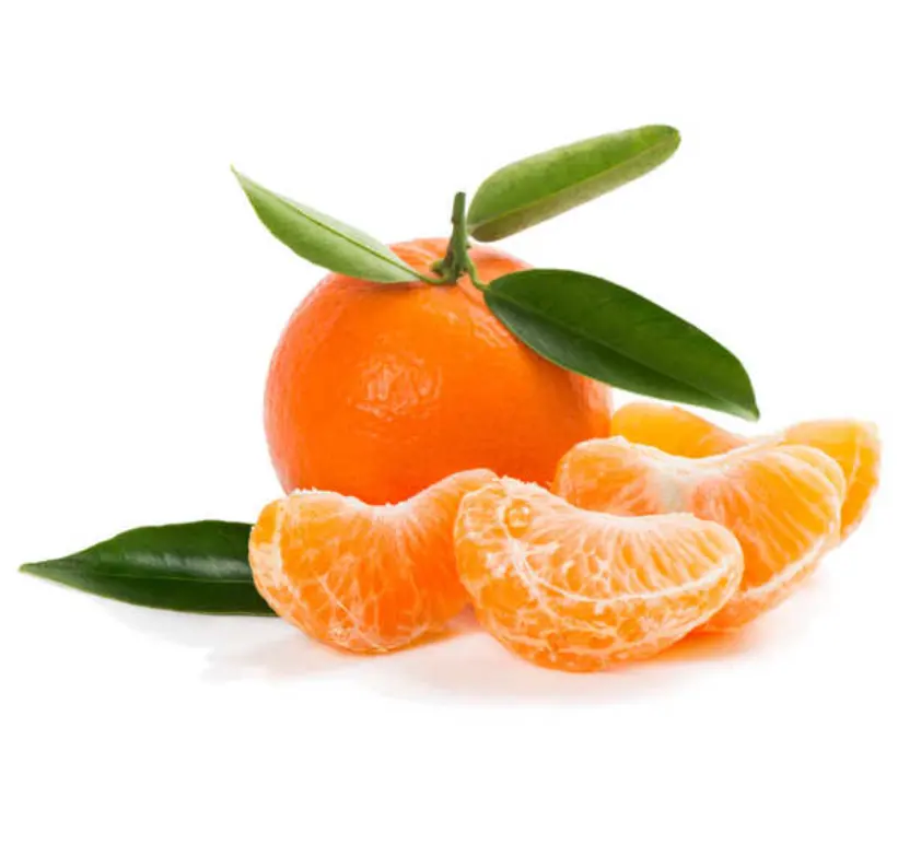 All'ingrosso mandarino fresco congelato di agrumi arancio/ombelico arance, valencia, mandarino, mandarino, limoni, Clementine, agrumi