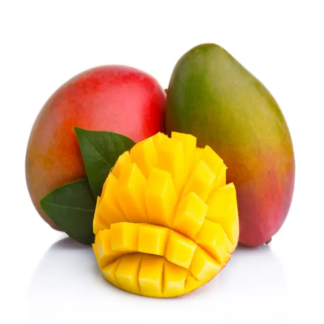 Mango verde fresco al mejor precio/fabricación agrícola V.A.F/Mango verde y amarillo