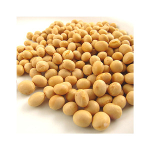 Soja Soyabean 50kg torba filizlenme ve gıda sınıfı kuru sarı soya tohumu olmayan gdo soya fasulyesi - Product Image 3