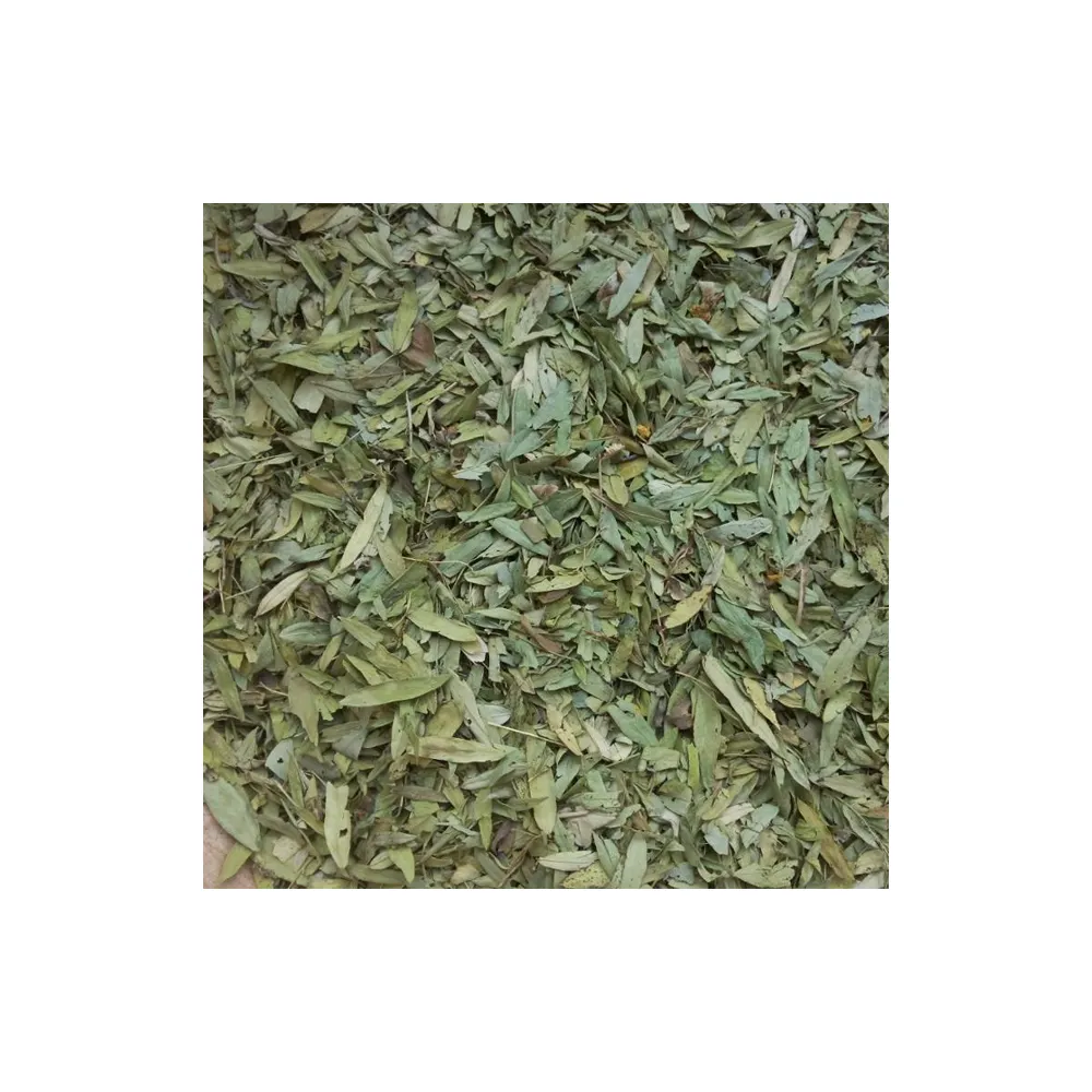 Best Quality Natural Organic Senna Leaves From Indian Supplier At Cheap Price