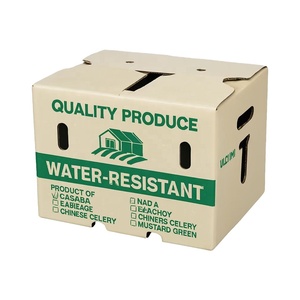 Sáp carton cho rau diếp Bông Cải Xanh <span class=keywords><strong>Apple</strong></span> citrus chống ẩm hộp - Product Image 1