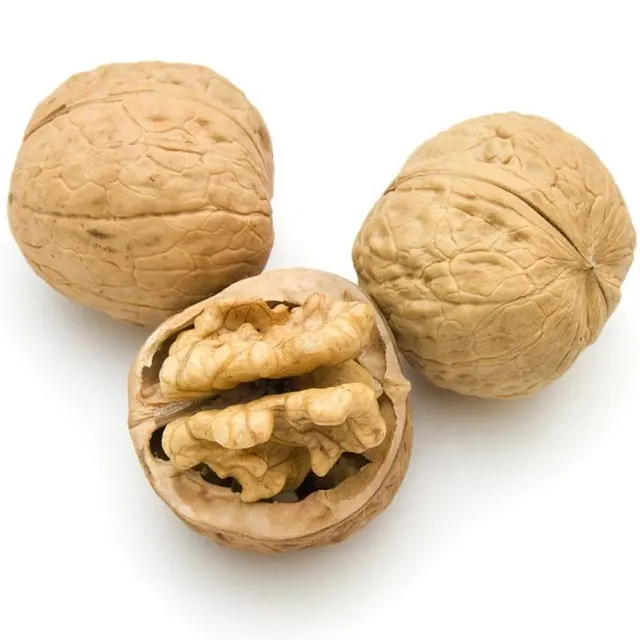 100% Natural Healthy Food Walnut Kabuklu Ceviz Dried Fruit Walnut Kernel Walnuts for sale