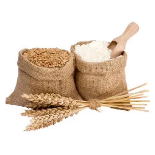 최고 판매 백색 천연 밀가루 다목적 고영양 밀가루 합리적인 가격에 구매 가능
