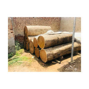 Toptan özel tik ahşap kapı günlükleri çam ve kırmızı sert ahşap/sıcak satış okaliptüs ahşap log dünya pazarı için ucuz fiyat ile dünya çapında - Product Image 3