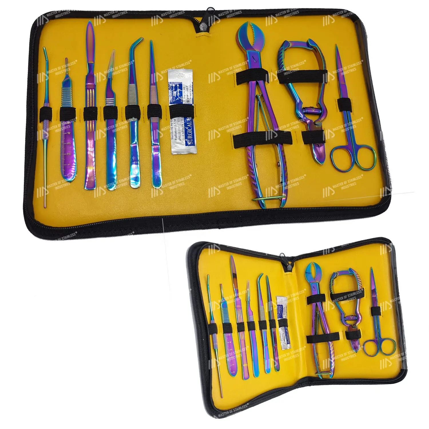 OEM Coral Frag Tool Kit Acero Inoxidable Arco Iris Color Titanio Diseños Personalizados Colores con Logotipo Privado para Acuario Pecera