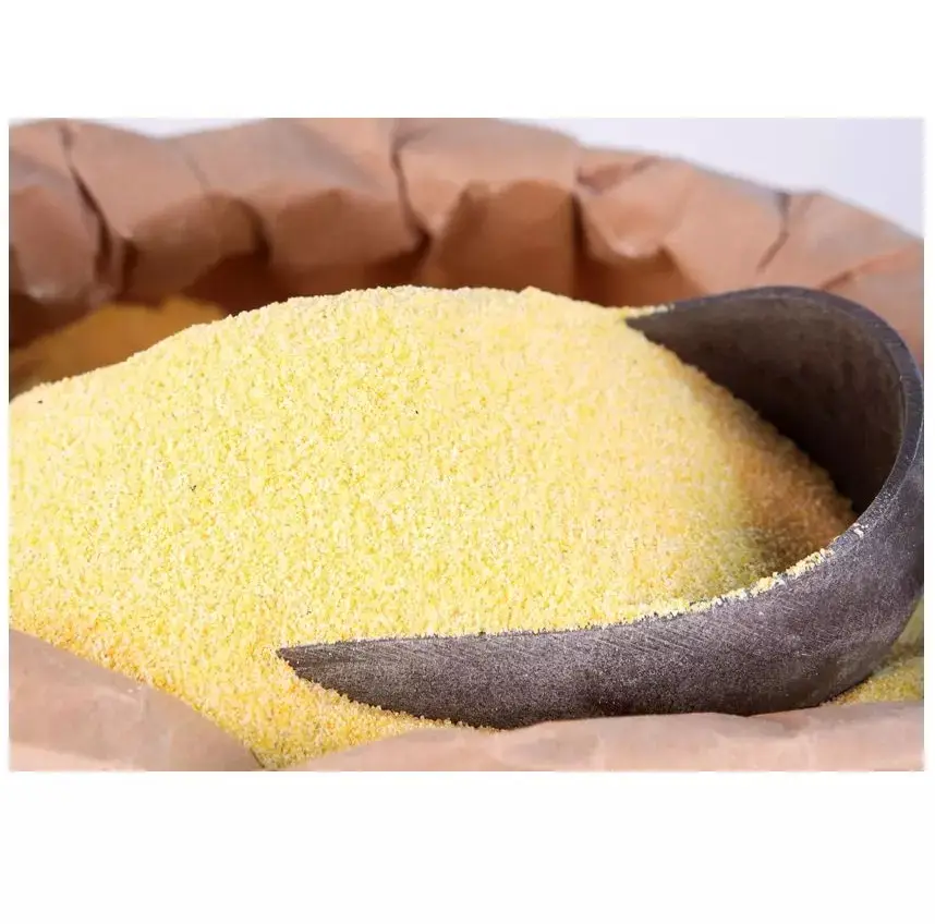 Blé jaune à haute teneur en protéines pour l'alimentation animale farine de gluten de maïs de son