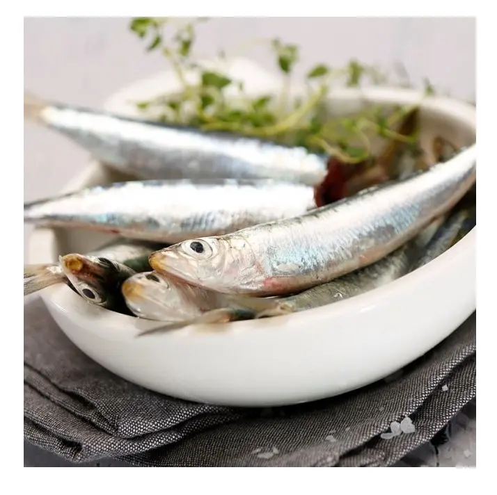 سمكة السردين المجمدة عالية الجودة للبيع بأفضل سعر
