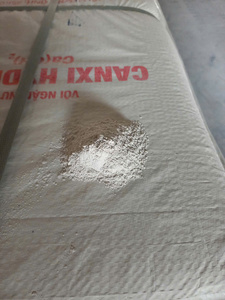 CAL HIDRATADA DE GRADO PROFESIONAL PARA ALBAÑILERÍA, ENYESADO Y RENDIZADO 92% Ca(OH)2 FÁBRICA DE CAL SLAKE DIRECTO DE VIETNAM - Product Image 6