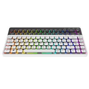 Hot Mac/Win segunda conmutación teclas multifunción RGB color deslumbrante 3000mAh larga vida útil bajo perfil Teclado mecánico